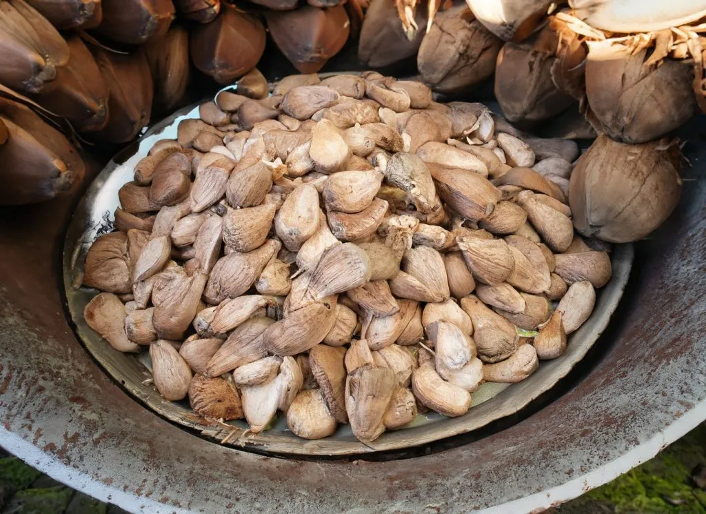 How do you store coconut seeds