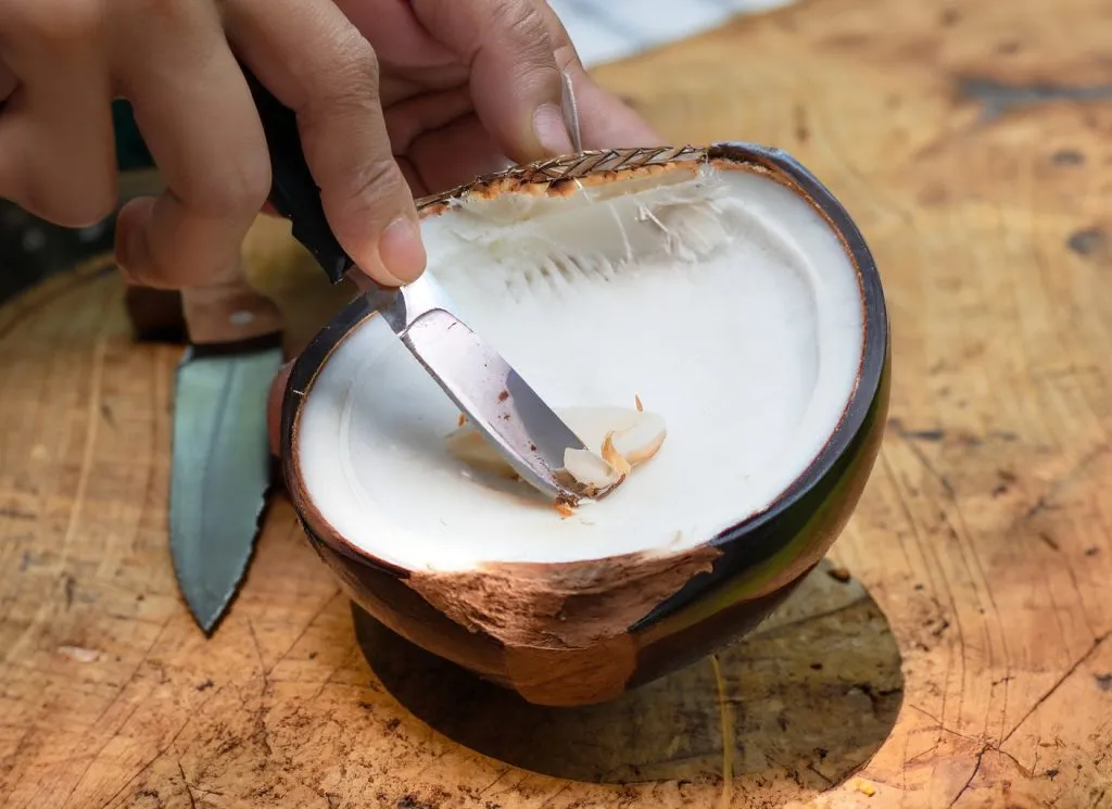 Using a knife to pry the white coconut seed away from the hard shell
