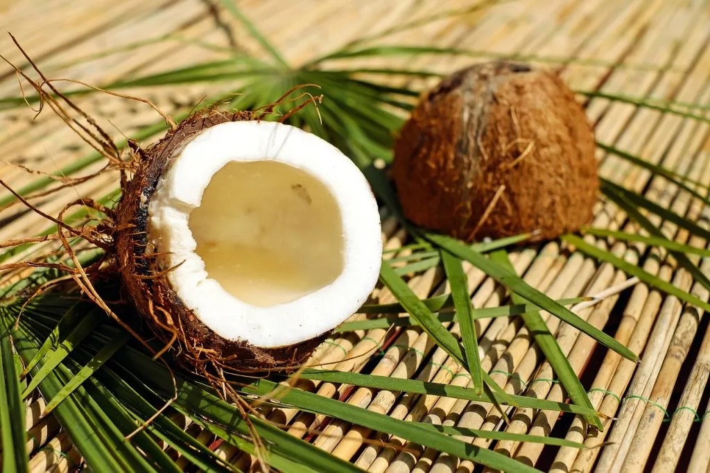 What are the uses of coconut seed?