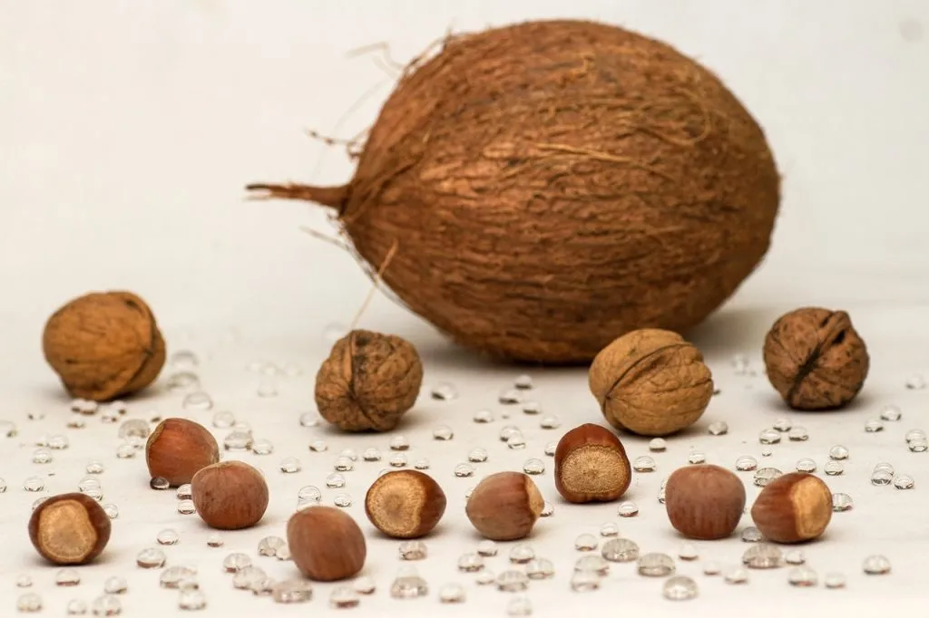 Do Coconuts Have Floating Seeds?