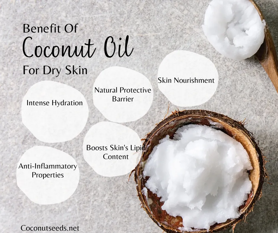 5 Remarkable Benefits of Coconut Oil for Dry Skin