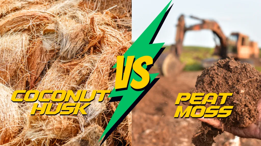 Coconut Husk vs. Peat Moss