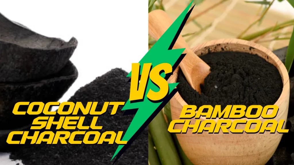 Comparing Coconut Shell Charcoal and Bamboo Charcoal