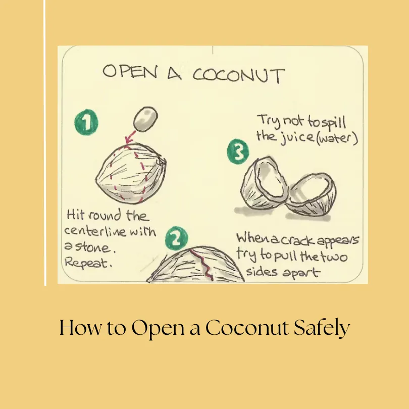 How to Open a Coconut Safely